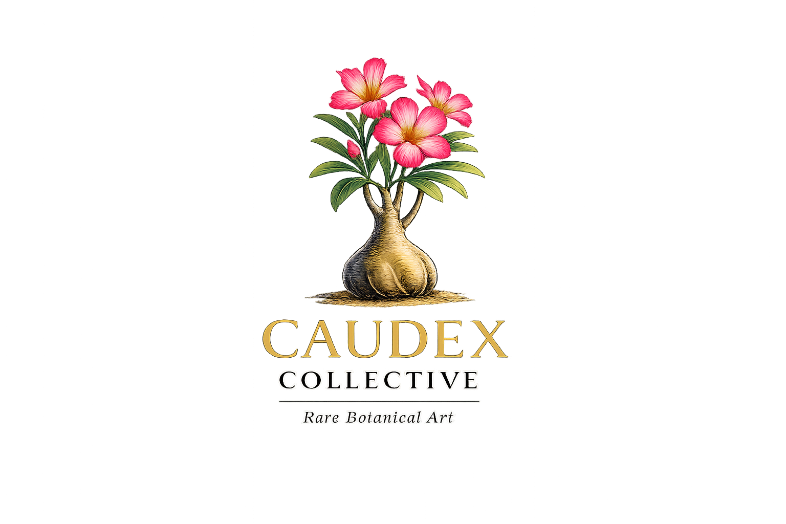Caudex Collective
